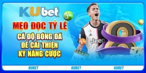 Tỷ lệ cá độ bóng đá