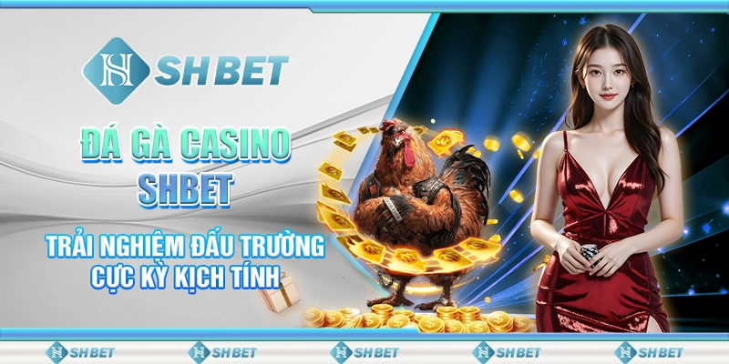 Đá Gà Casino SHBET - Trải Nghiệm Đấu Trường Cực Kỳ Kịch Tính