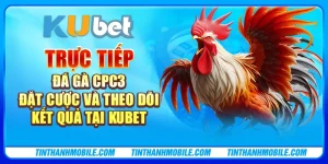 Trực tiếp đá gà CPC3 - Đặt cược và theo dõi kết quả tại Kubet