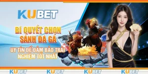 sảnh đá gà uy tín